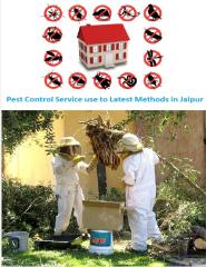 Pest_Control_Service_use_to_Latest_Methods_in_Jaipur.PDF